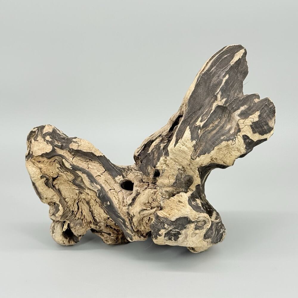 Zoo Med Driftwood Terrarium Reptiles Fish Tarantulas Housing Decoration